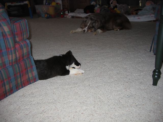 Oliver - 03/15/2003, photo 1