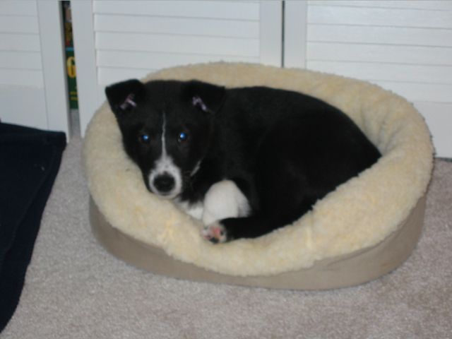 Oliver - 03/15/2003, photo 3
