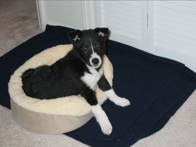Oliver - 03/15/2003, photo 6