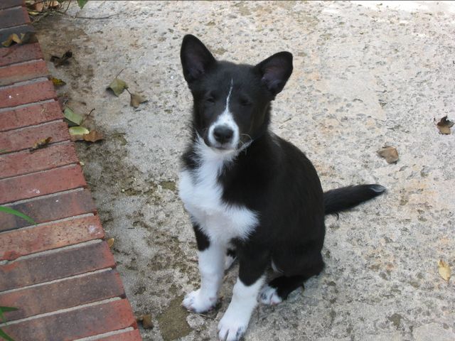 Oliver - 04/05/2003, photo 1