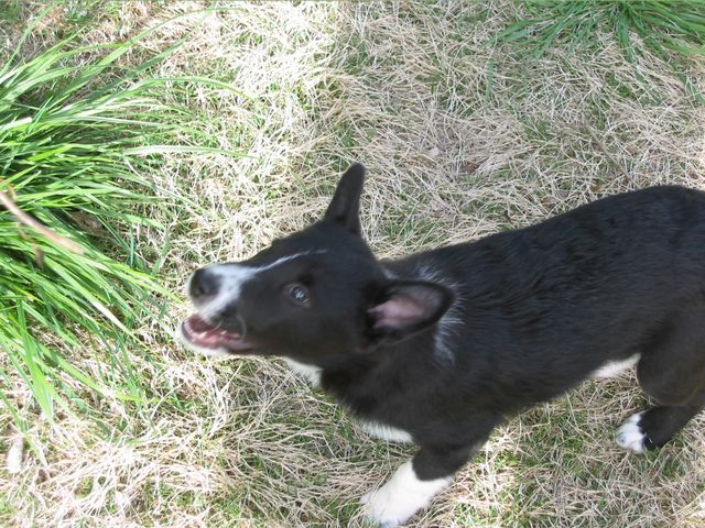 Oliver - 04/05/2003, photo 2
