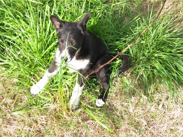 Oliver - 04/05/2003, photo 3