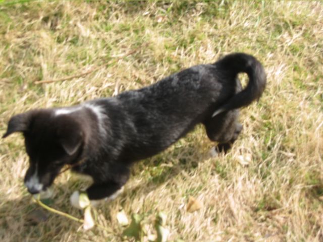 Oliver - 04/05/2003, photo 8