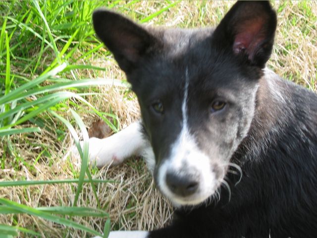 Oliver - 04/05/2003, photo 16