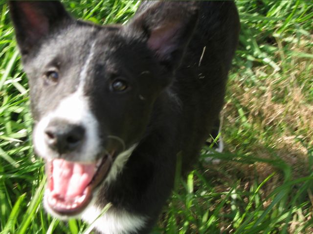 Oliver - 04/05/2003, photo 22