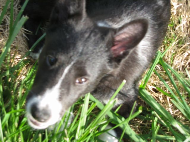 Oliver - 04/05/2003, photo 23