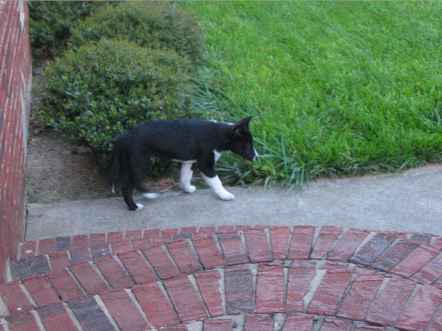 Oliver - 04/05/2003, photo 26