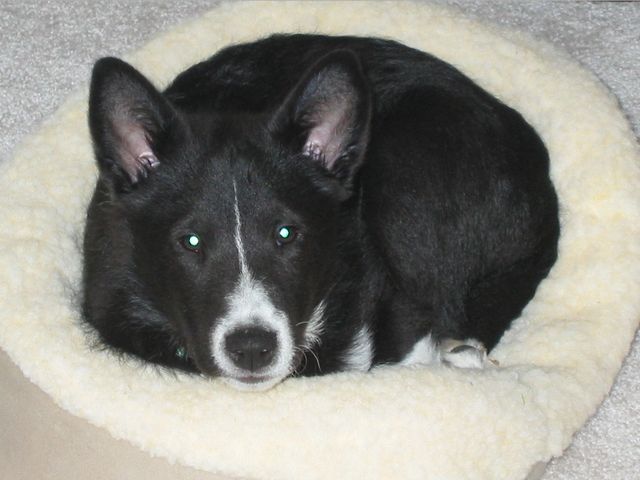 Oliver - 04/05/2003, photo 28
