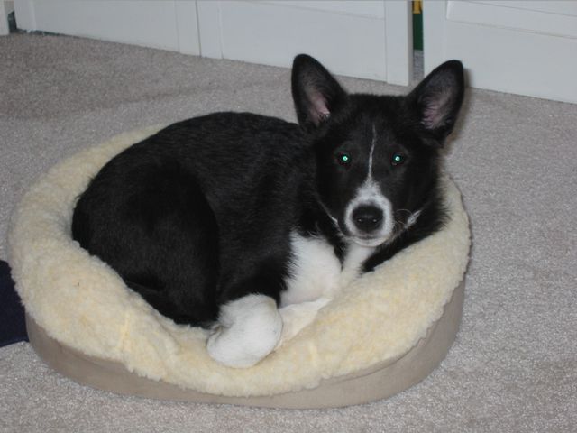 Oliver - 04/05/2003, photo 29