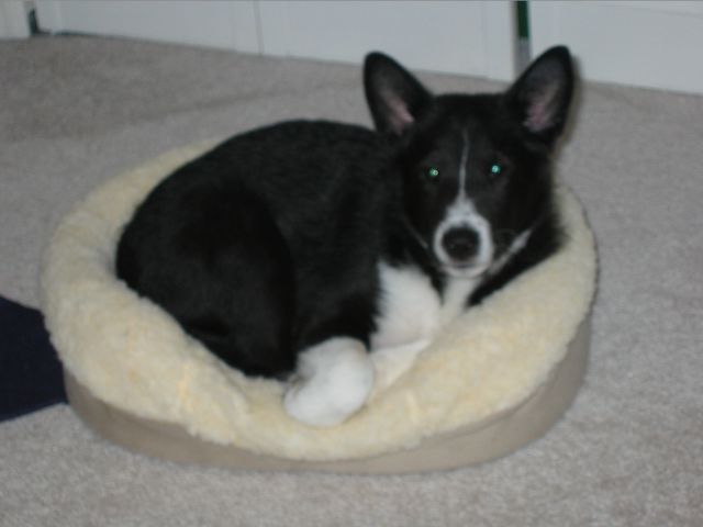 Oliver - 04/05/2003, photo 30