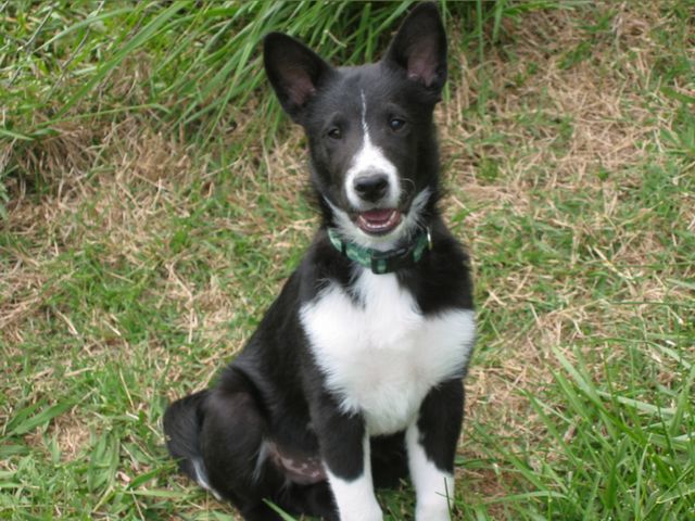 Oliver - 04/17/2003, photo 2