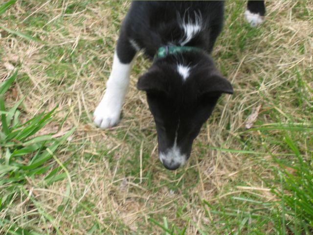 Oliver - 04/17/2003, photo 4