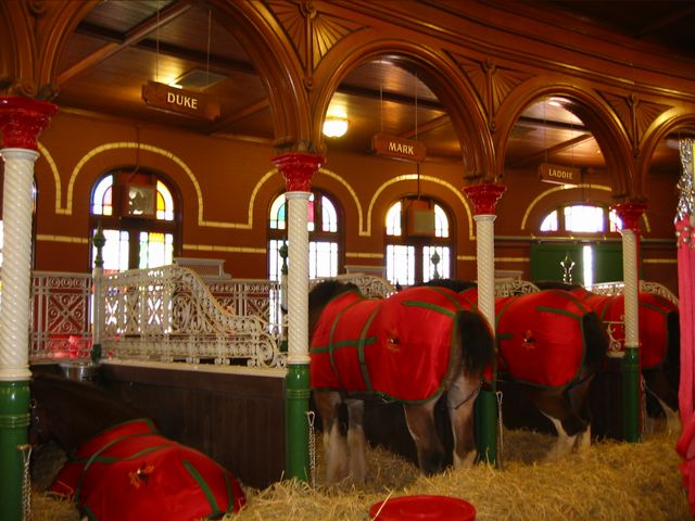St. Louis - The Anheuser Busch Brewery, photo 27