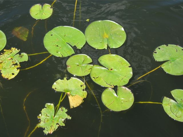 Wisconsin Summer 2003, photo 128