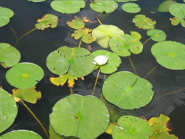Wisconsin Summer 2003, photo 129