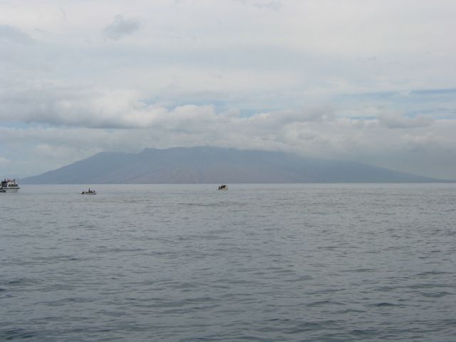 Hawaii 2003 - Maui SCUBA Trip / Beach Time, photo 13