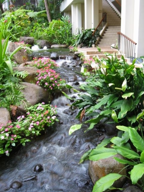 Hawaii 2003 - Maui Prince Hotel, photo 62