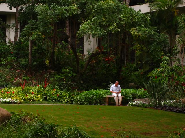 Hawaii 2003 - Maui Prince Hotel, photo 68