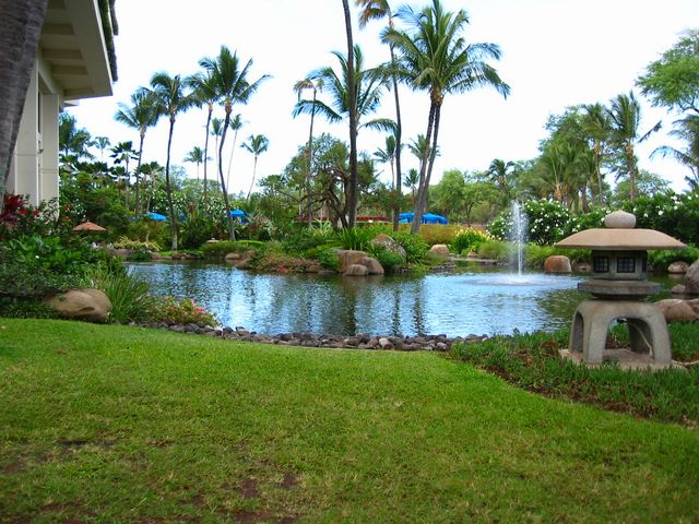 Hawaii 2003 - Maui Prince Hotel, photo 93