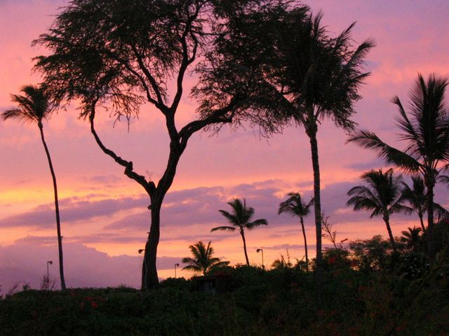 Hawaii 2003 - Maui Sunset, photo 48