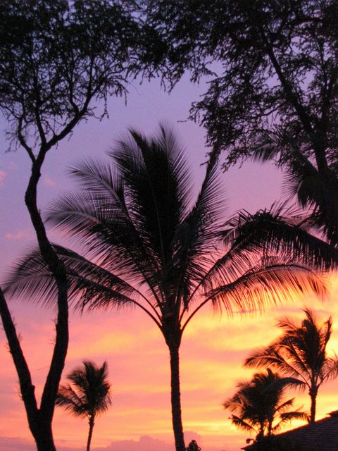 Hawaii 2003 - Maui Sunset, photo 57