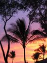 Hawaii 2003 - Maui Sunset