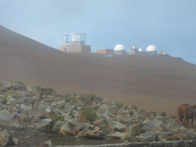 Hawaii 2003 - Maui Bike Trip Down Haleakala, photo 5