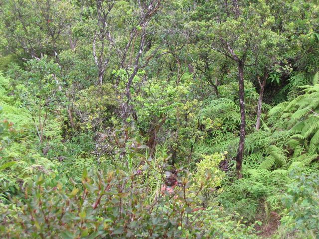 Hawaii 2003 - Kauai Memories, photo 54