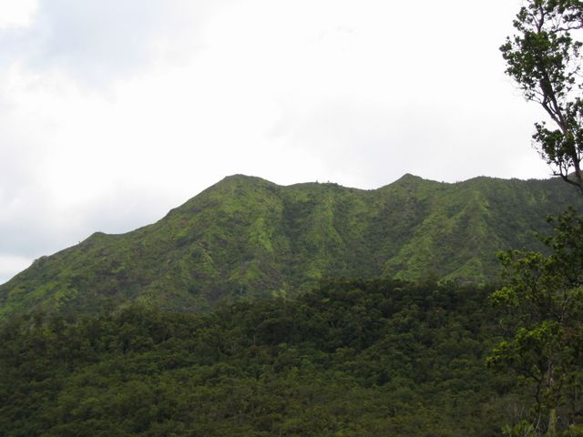 Hawaii 2003 - Kauai Memories, photo 55
