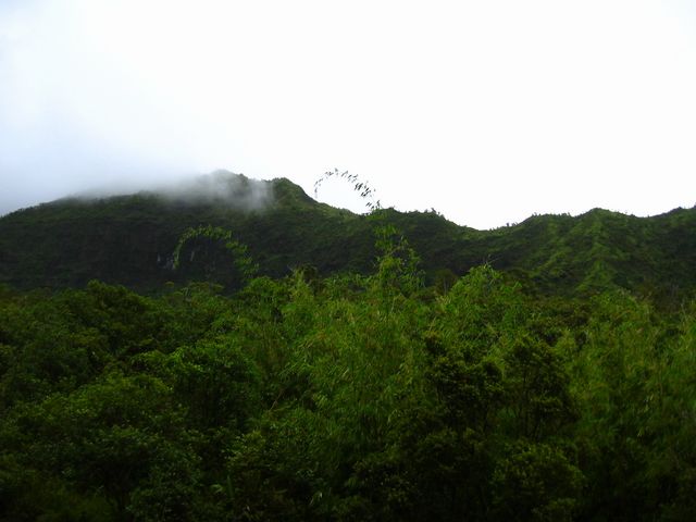 Hawaii 2003 - Kauai Memories, photo 58
