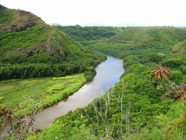 Hawaii 2003 - Kauai Waterfall Hiking, photo 5