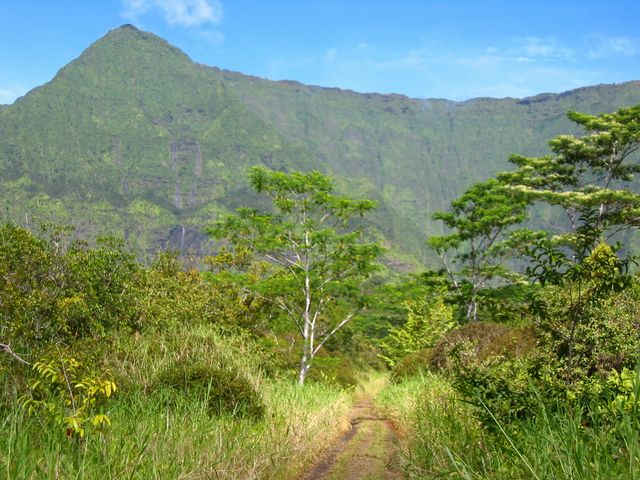 Hawaii 2003 - Kauai Waterfall Hiking, photo 18