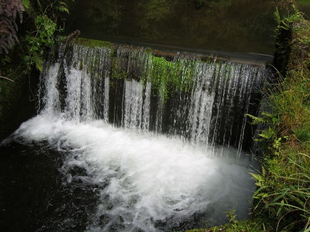 Hawaii 2003 - Kauai Waterfall Hiking, photo 28