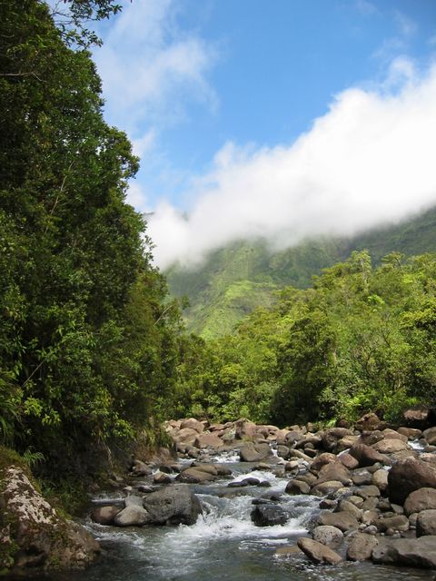 Hawaii 2003 - Kauai Waterfall Hiking, photo 35