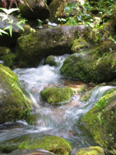 Hawaii 2003 - Kauai Waterfall Hiking, photo 41