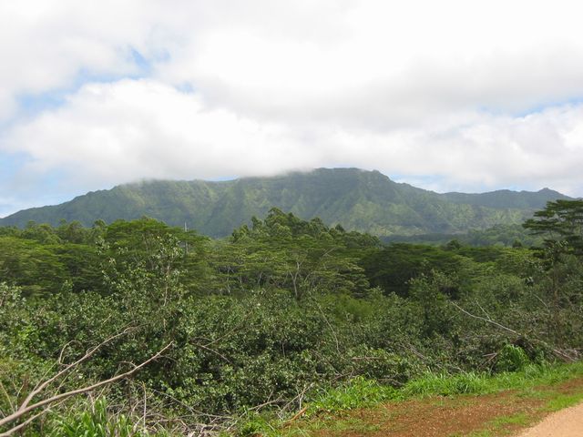 Hawaii 2003 - Kauai Waterfall Hiking, photo 43