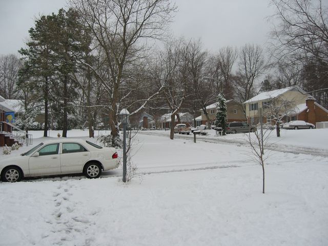 Winter Storm 2004, photo 4