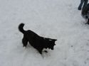 Winter Storm 2004