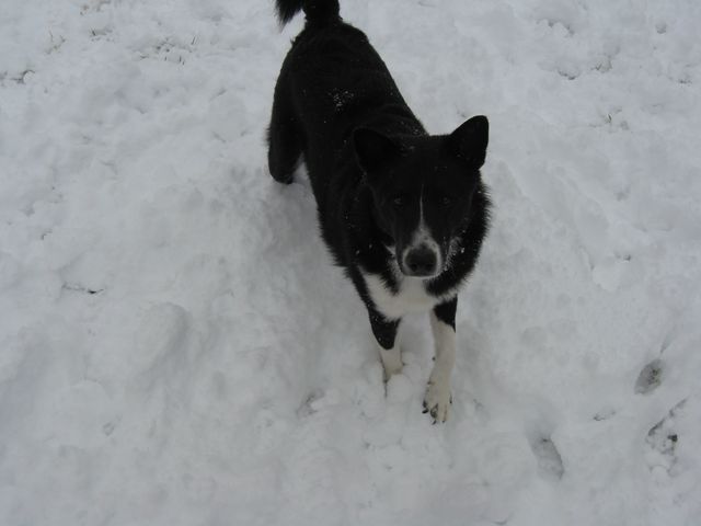 Winter Storm 2004, photo 13