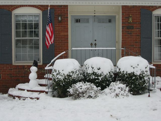 Winter Storm 2004, photo 8
