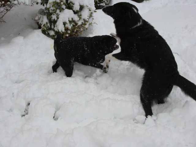 Winter Storm 2004, photo 15