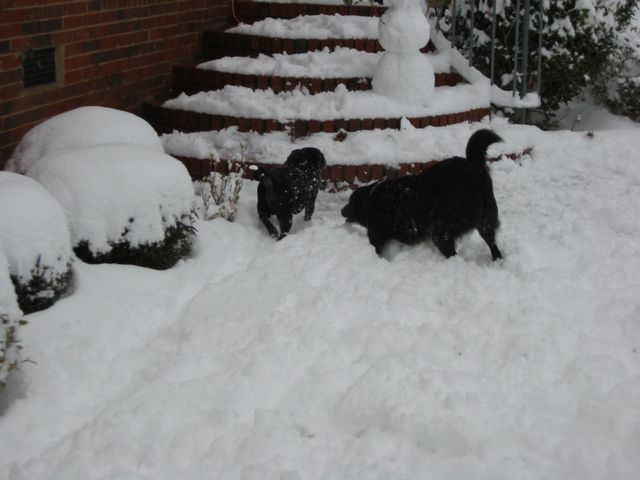 Winter Storm 2004, photo 16