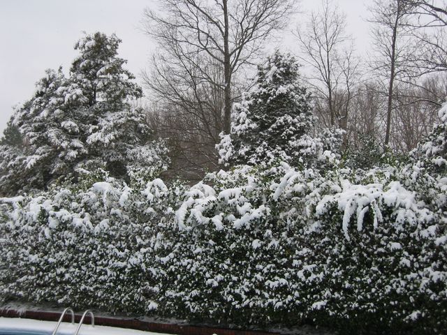 Winter Storm 2004, photo 21