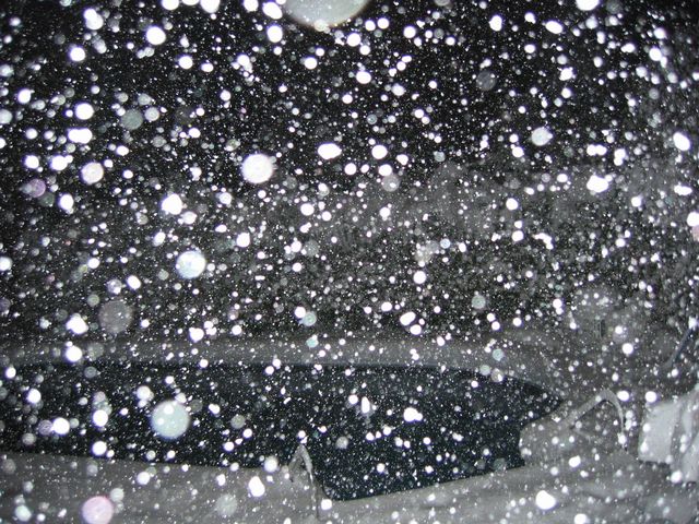 Winter Storm 2004, photo 22