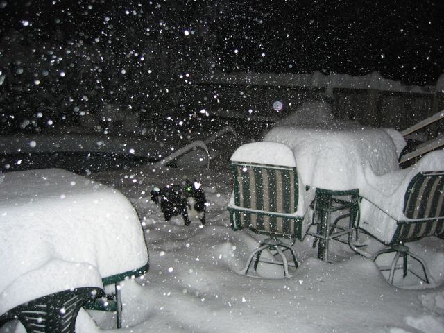 Winter Storm 2004, photo 26