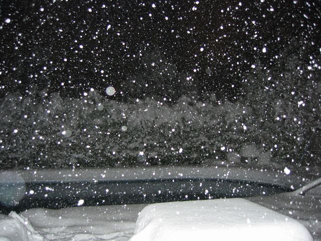 Winter Storm 2004, photo 27