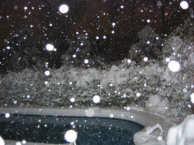 Winter Storm 2004, photo 28