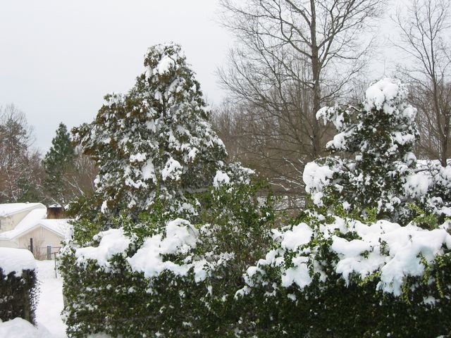 Winter Storm 2004, photo 36