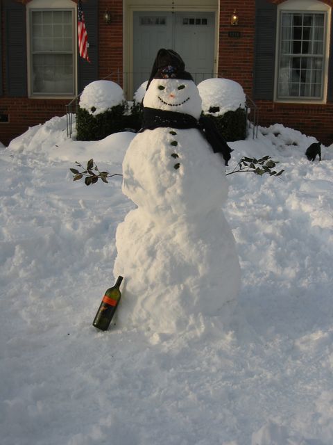 Winter Storm 2004 - Snow Family, photo 1