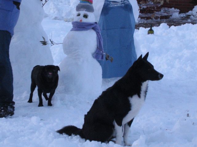 Winter Storm 2004 - Snow Family, photo 9